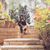 Ashi Ghai's profile image