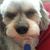 Debbie Holt's profile image