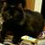 Joanne Dominy's profile image
