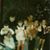 Sherri McNair Irby Pruitt's profile image