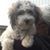 Margie Emigh Clink's profile image