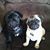 Terri Kelley Stanley's profile image