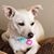 Toni Ann Walker-Morgan's profile image