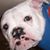 Elvia Gomez's profile image