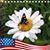 Marilyn Rice's profile image