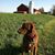 Brian R. Keyes's profile image