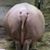 Deb Riedel's profile image