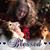 Debbie Cunningham's profile image