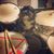 Braden Jordison's profile image