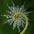 Deanna Squires-Scannell's profile image