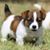 Dayna Spohn's profile image