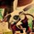 Michal Mucka's profile image