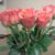 Lydia Hutsell's profile image