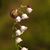Tracy Goodall's profile image