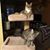 Cinda Garst Grisbach's profile image