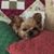 Patricia Schroder's profile image