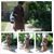 Rice Tat's profile image