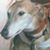 Ruth M. Tuccio's profile image