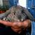 Carol Wendt's profile image