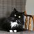 Terri Daniels's profile image