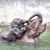 Deborah Mooney's profile image