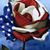 Susan Rehnberg Ulloa's profile image