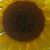 John Alexander Arnold's profile image
