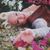 April Beach's profile image
