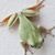 Maria LaCava's profile image