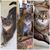 Carrie Smith Carroll's profile image