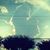 Irene Winegarden's profile image
