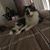 Leslie W. Mayes's profile image