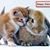 Suzan Rodgers Chapman's profile image