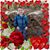 Sulynn Hagerdon Brown's profile image