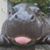 Michele Svitek's profile image