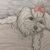 Debra Kuntschik Budd's profile image