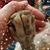 Barb Biffle Bennett's profile image