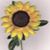 Connie O'Neal Rakestraw's profile image