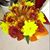 Mary Garber-Brown's profile image