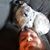 Andrew Gosnell's profile image