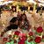 Laura E Lazala's profile image