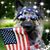Jim Highway Higgins's profile image