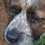 Susan Mae Angst's profile image
