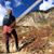 Desiree Bohorques's profile image