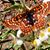 Richard Rizk's profile image