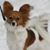 Janet Murphy-Deblois's profile image
