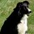 Mary Law Miller's profile image
