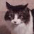 Kelly Kirklin's profile image