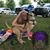 Sherri M Christopher's profile image