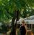 Tiffany Knef's profile image